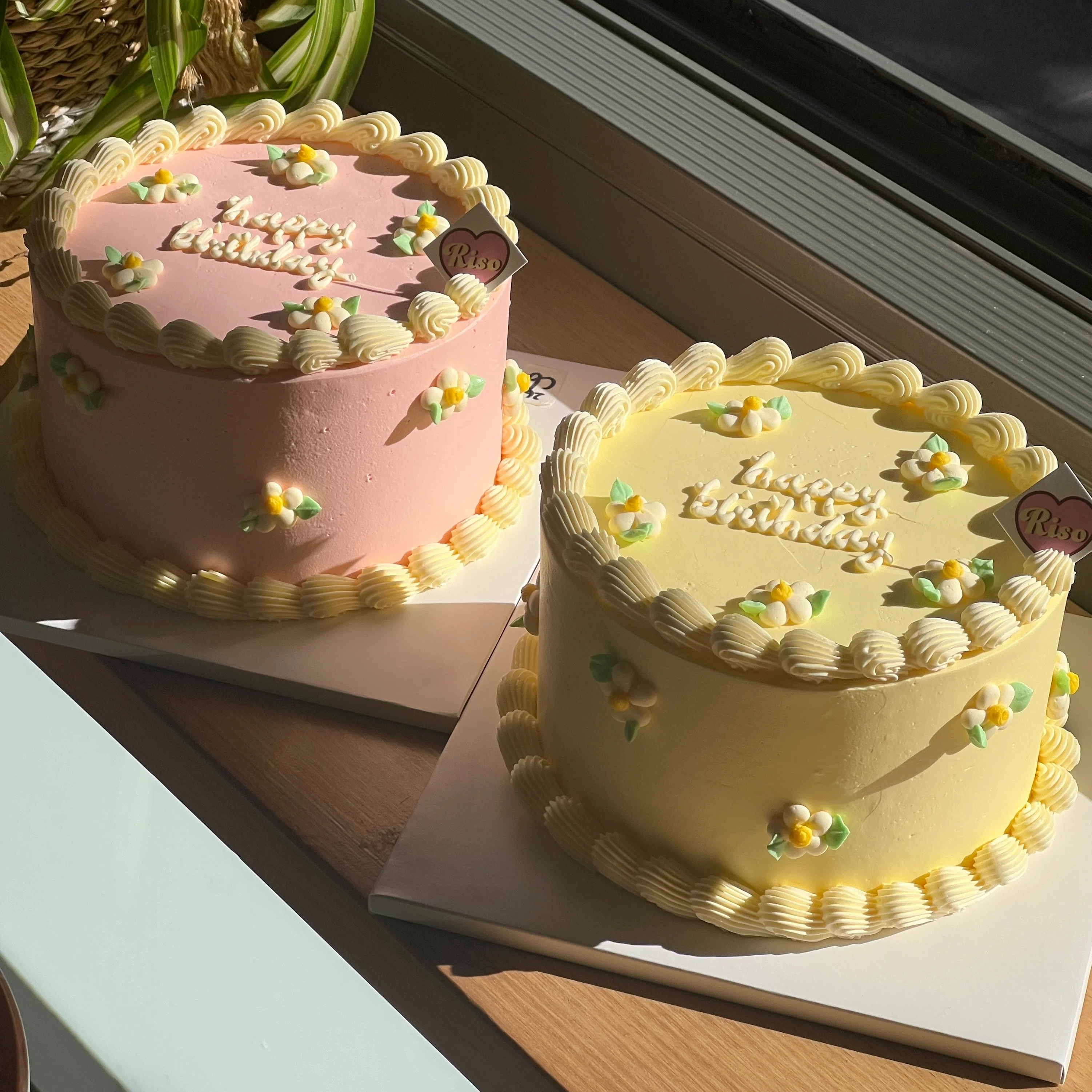 Daisy Cake (Round/Heart) - Image 2