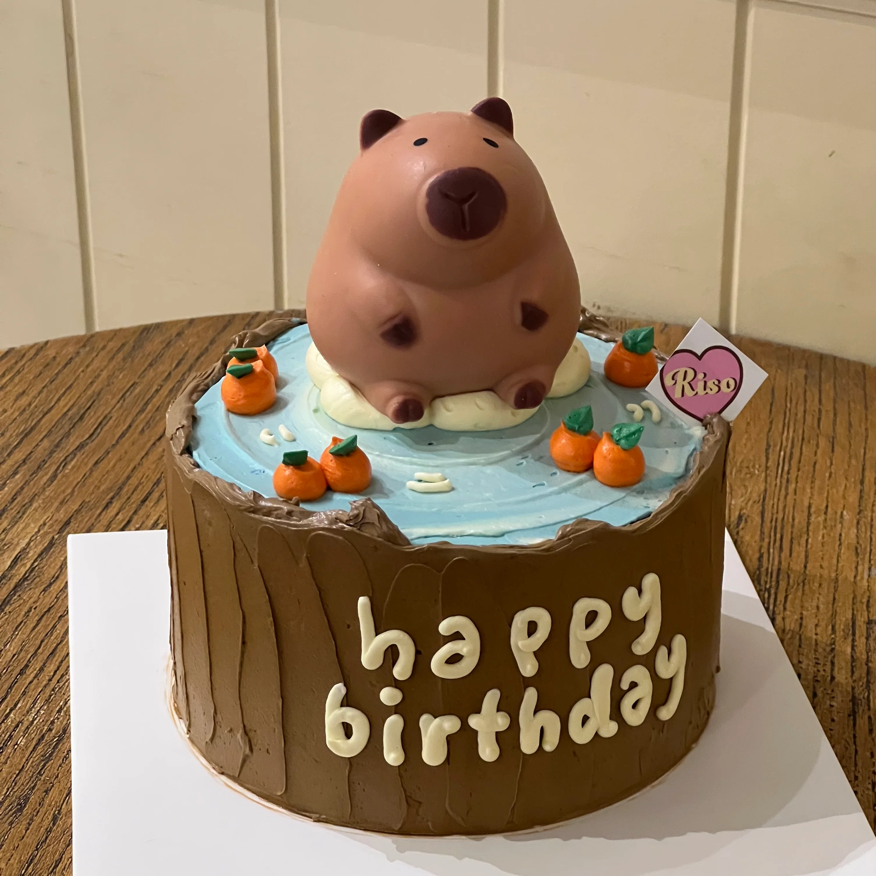 Capybara Cake - Image 4