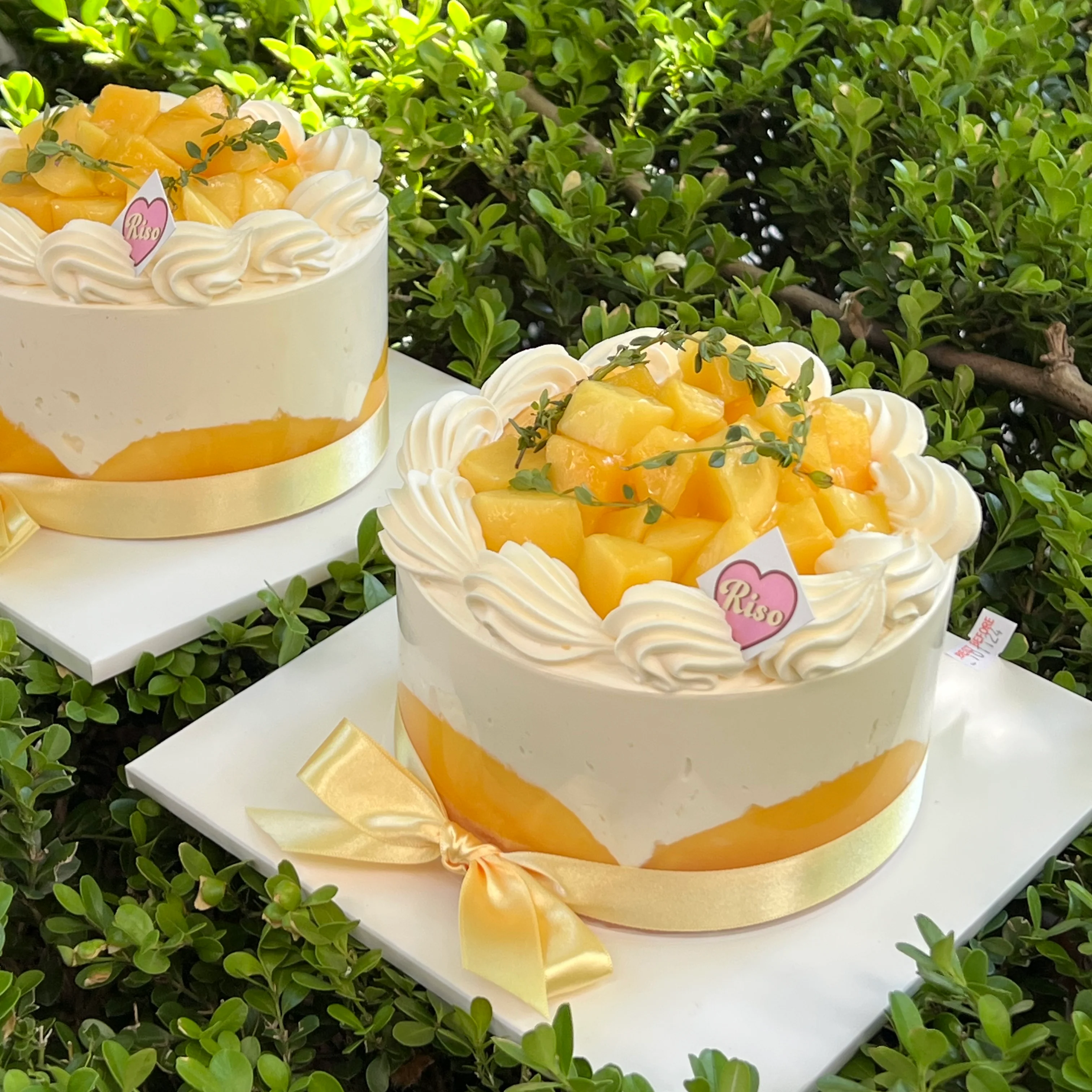 Fresh Cream Mango Cake - Image 3