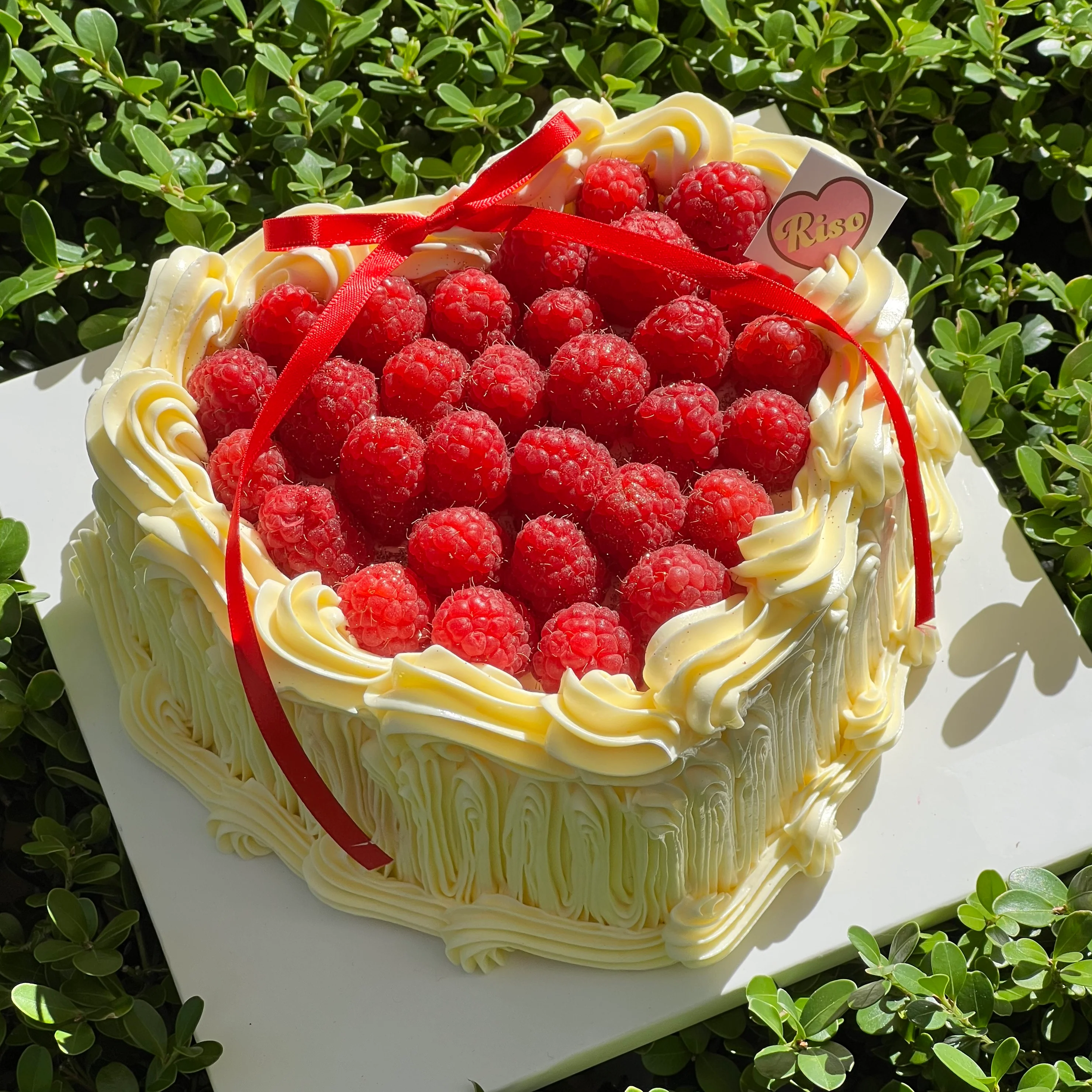 Romantic Raspberry Cake (Round/Heart)