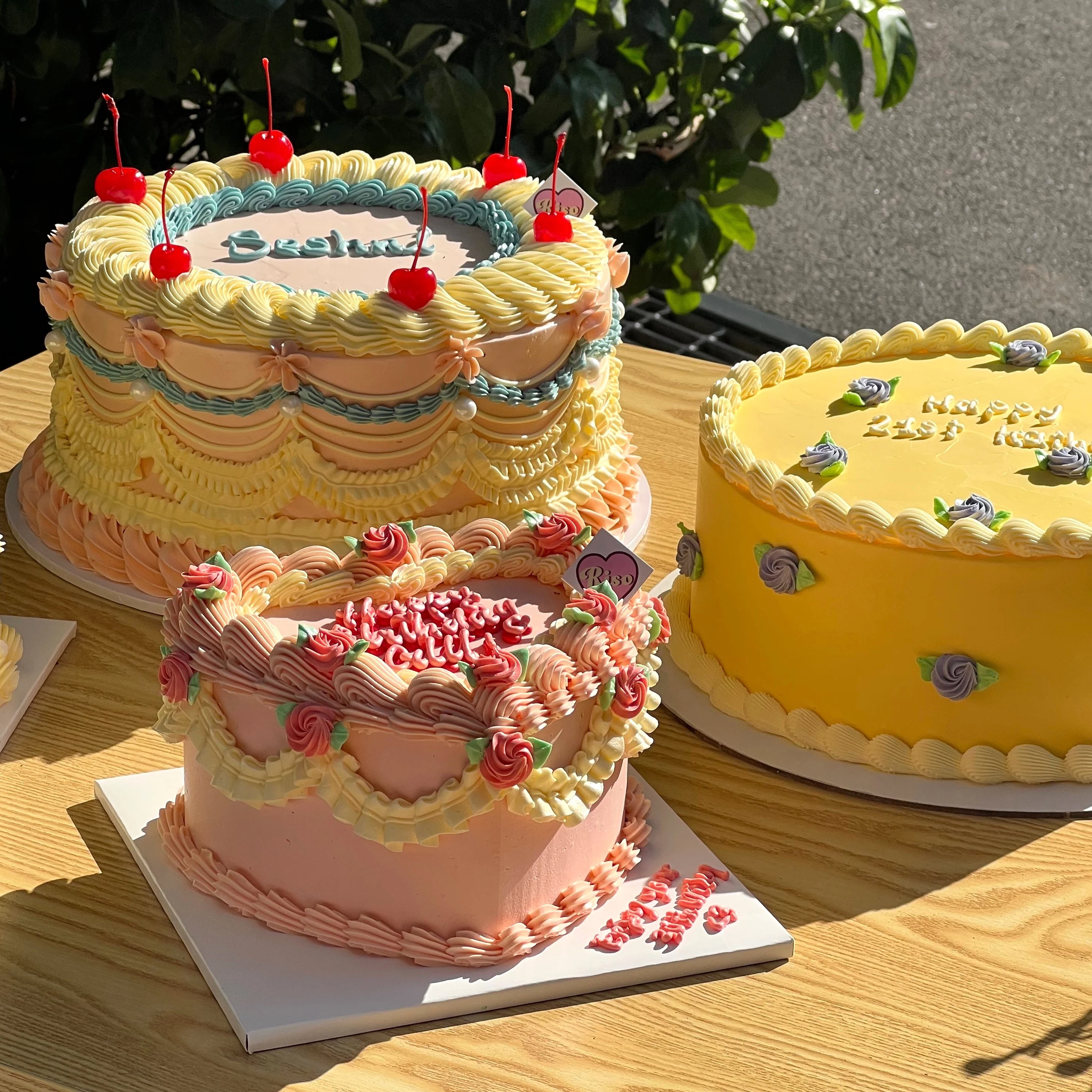 Rose Vintage Cake (Round/Heart) - Image 5